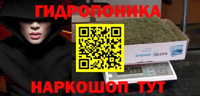 ECSTASY Будённовск