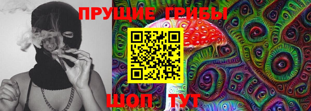 Галлюциногенные грибы MAGIC MUSHROOMS  купить наркотики сайты  Вход с VPN  Санкт-Петербург  Галлюциногенные грибы GOLDEN TEACHER 