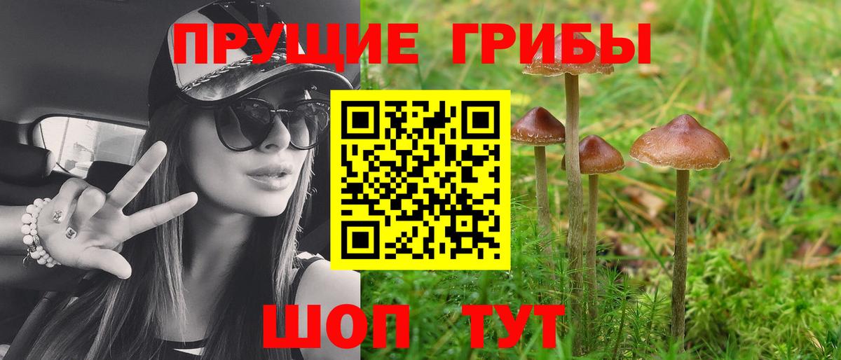 Псилоцибиновые грибы Magic Shrooms Санкт-Петербург